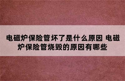 电磁炉保险管坏了是什么原因 电磁炉保险管烧毁的原因有哪些